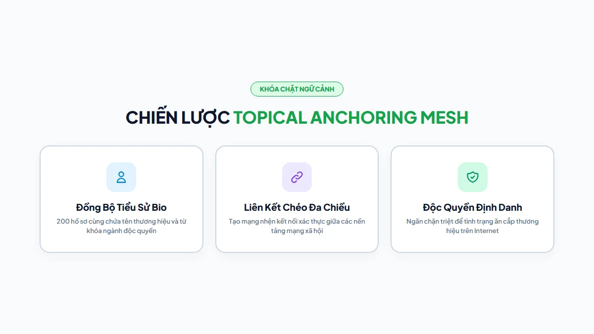 Mô hình mạng lưới Topical Anchoring đồng nhất 200+ Profile Social Entity