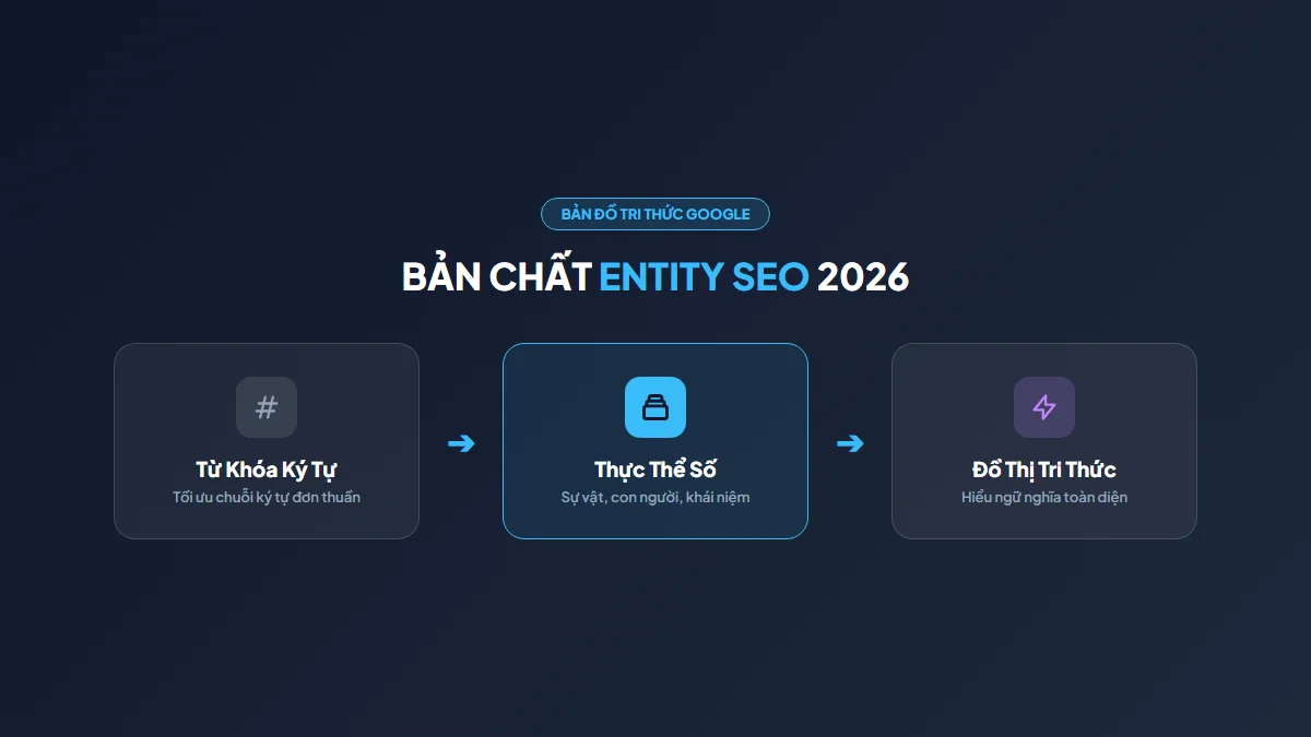 Entity SEO Là Gì? Toàn Tập Về Tối Ưu Thực Thể Chuẩn Semantic Web 2026