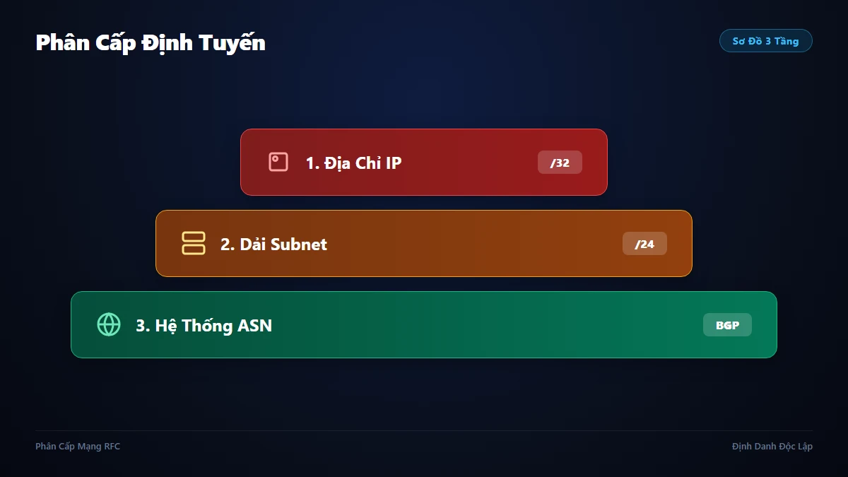 Sơ đồ phân cấp 3 tầng từ địa chỉ IP đến Subnet Mask CIDR và BGP Routing Protocol