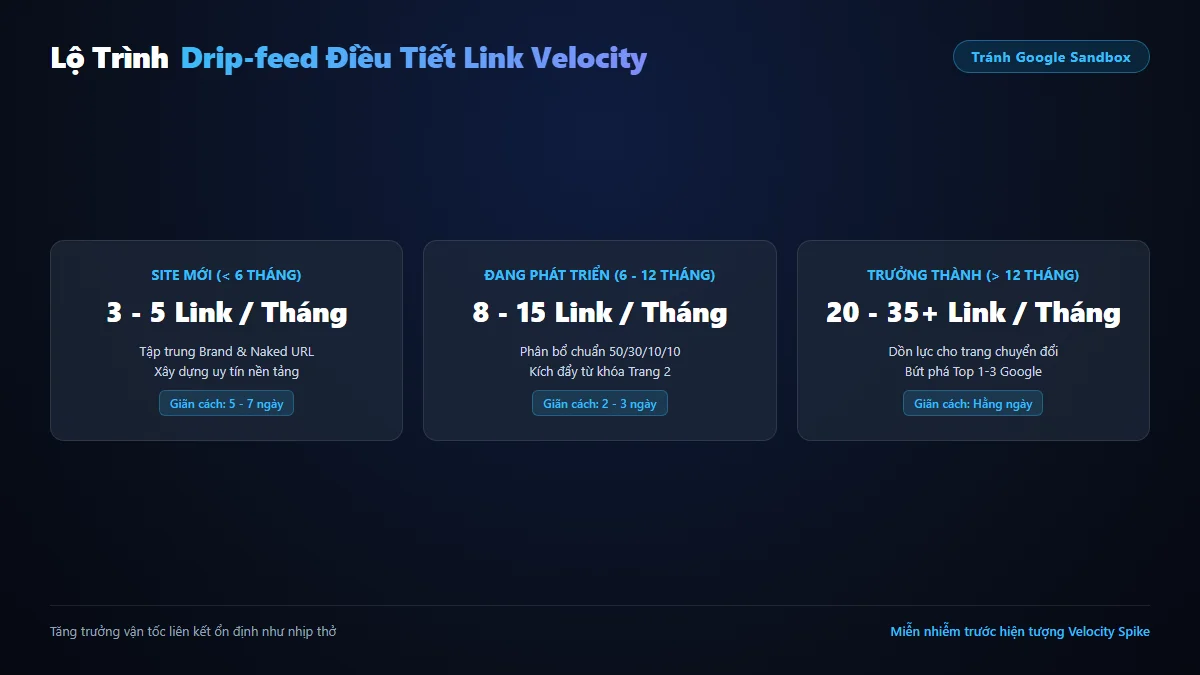 Lộ trình điều tiết vận tốc liên kết Link Velocity theo độ tuổi tên miền