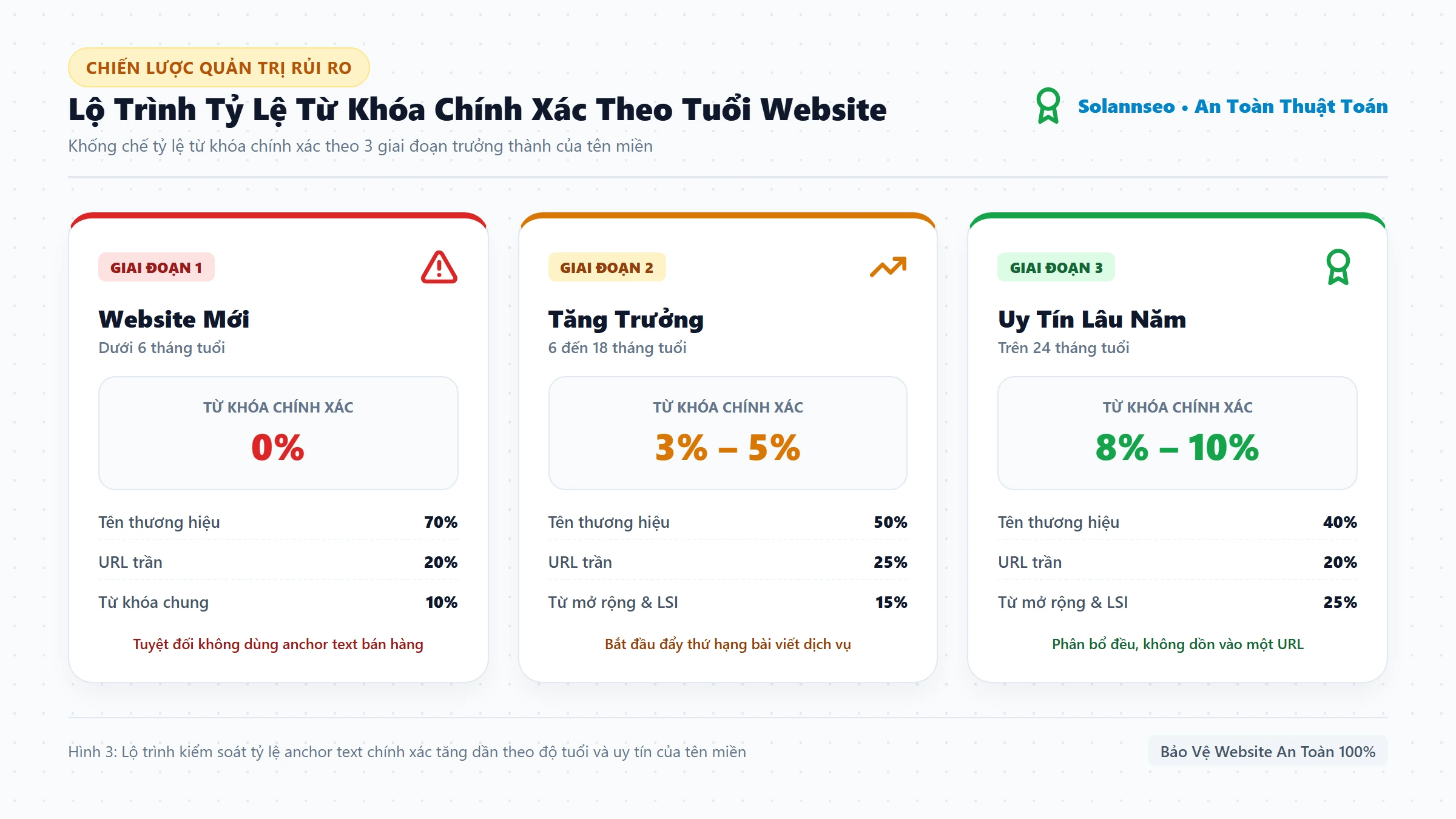 Lộ trình kiểm soát tỷ lệ anchor text từ khóa chính xác theo độ tuổi website