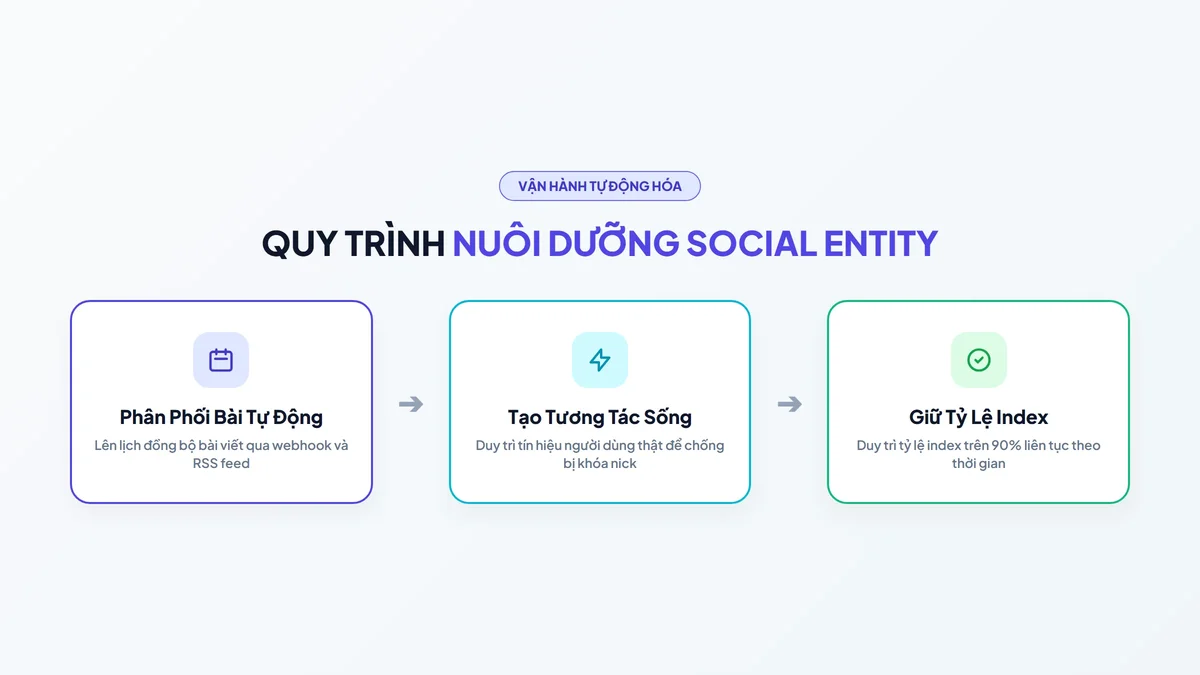 Sơ đồ tổng quan quy trình chăm sóc và nuôi dưỡng Social Entity tự động hóa trên 200 profile mạng xã hội