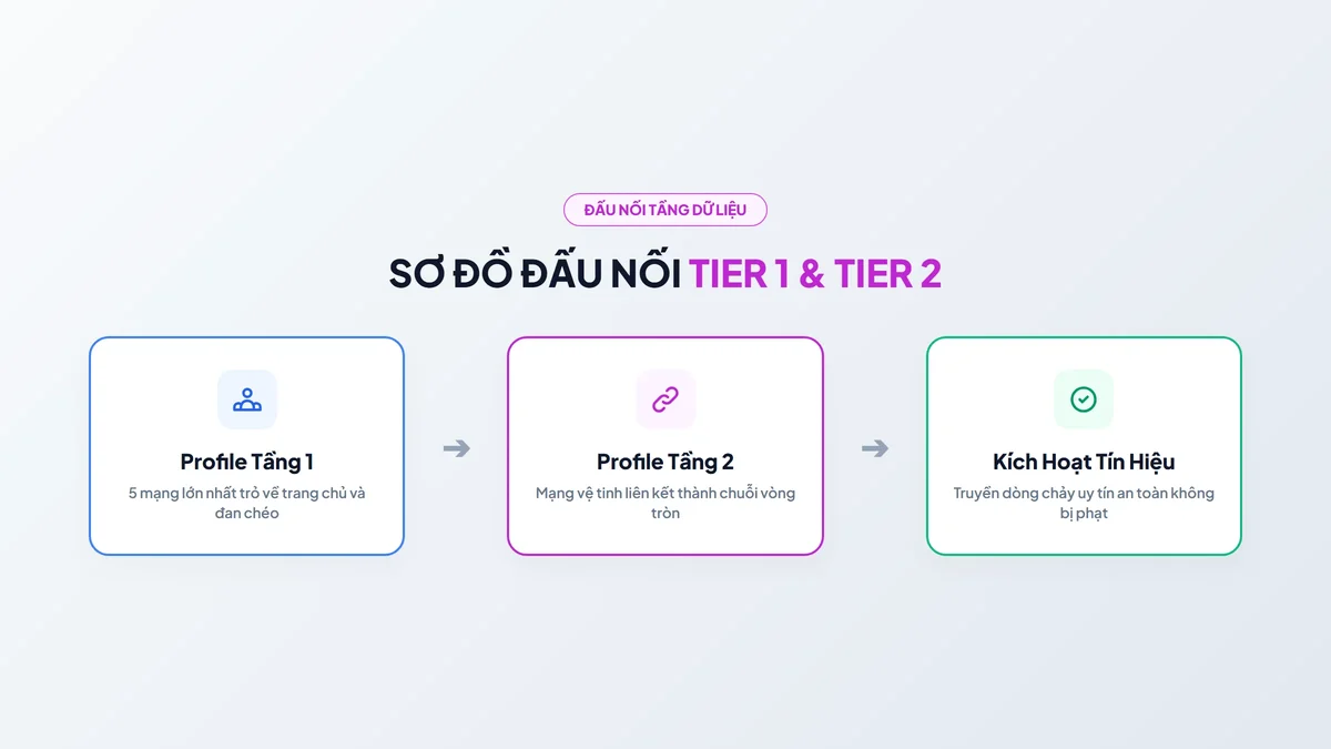 Sơ đồ đấu nối dây mạng Wireframing giữa các Social Profile Tier 1 và Tier 2