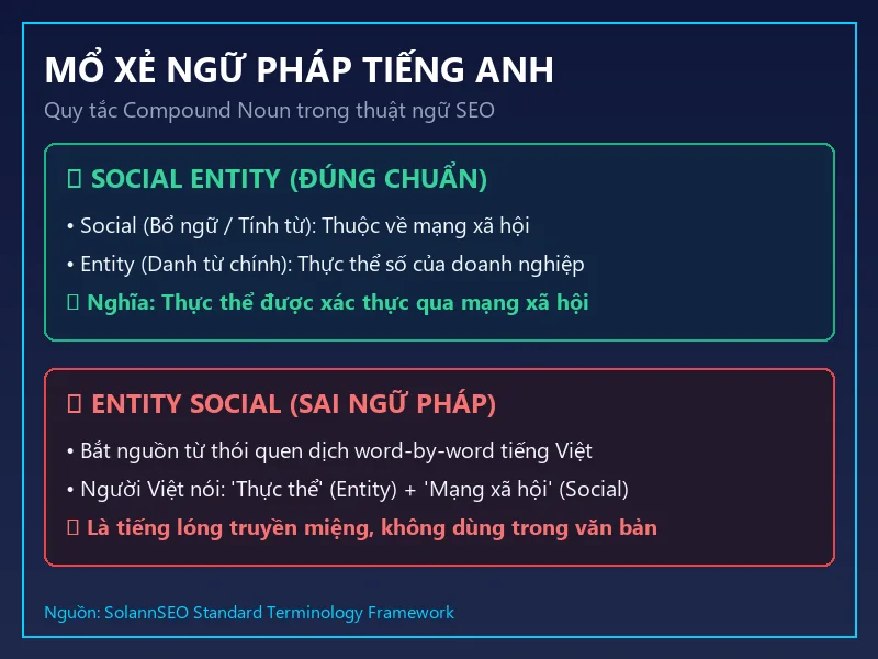 Phân tích ngữ pháp tiếng Anh cấu trúc danh từ ghép Social Entity và lỗi dịch ngược Entity Social