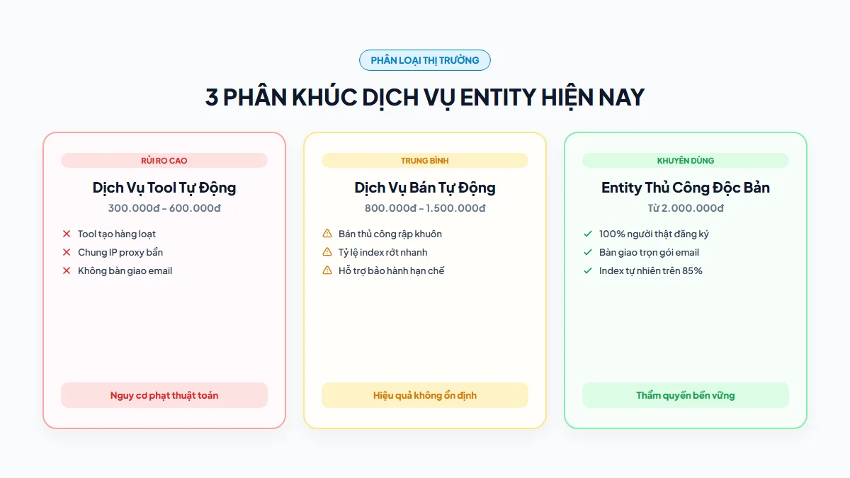 Bản đồ 3 phân khúc thị trường cung cấp dịch vụ Entity tại Việt Nam