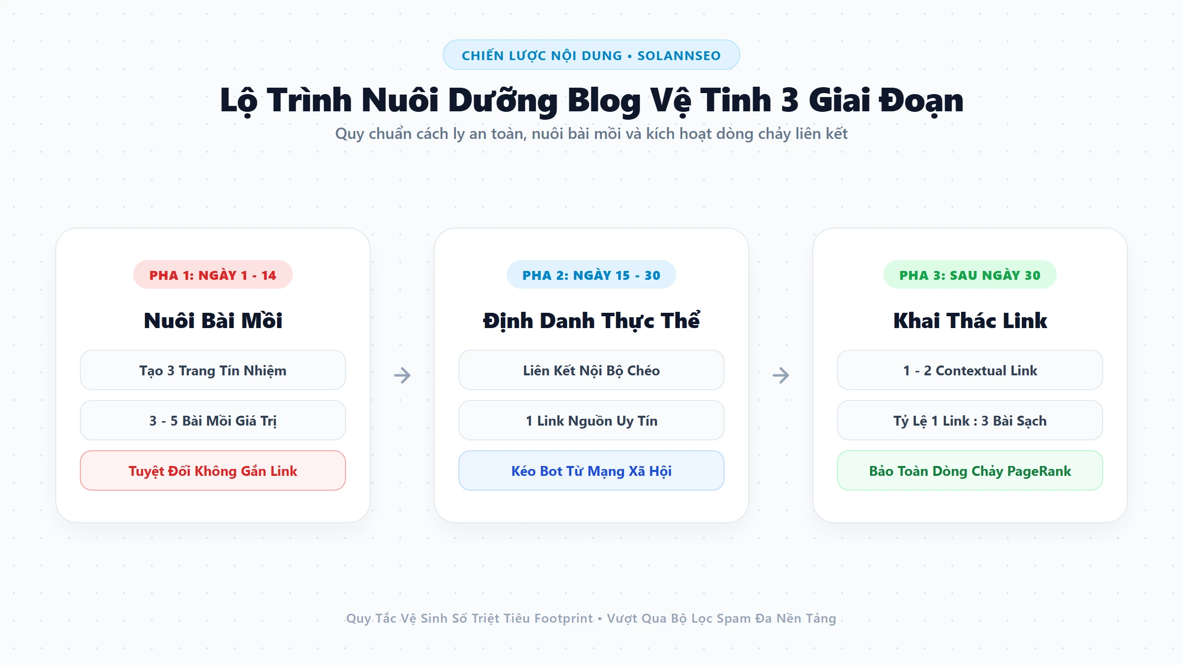 Sơ đồ chiến lược nuôi dưỡng nội dung bài mồi và cách ly an toàn cho blog vệ tinh