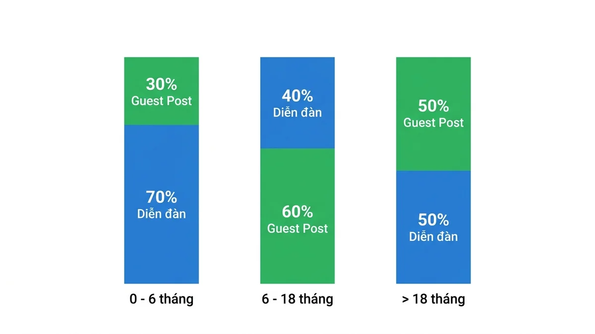 Biểu đồ phân bổ tỷ lệ ngân sách link building qua 3 giai đoạn sinh trưởng website