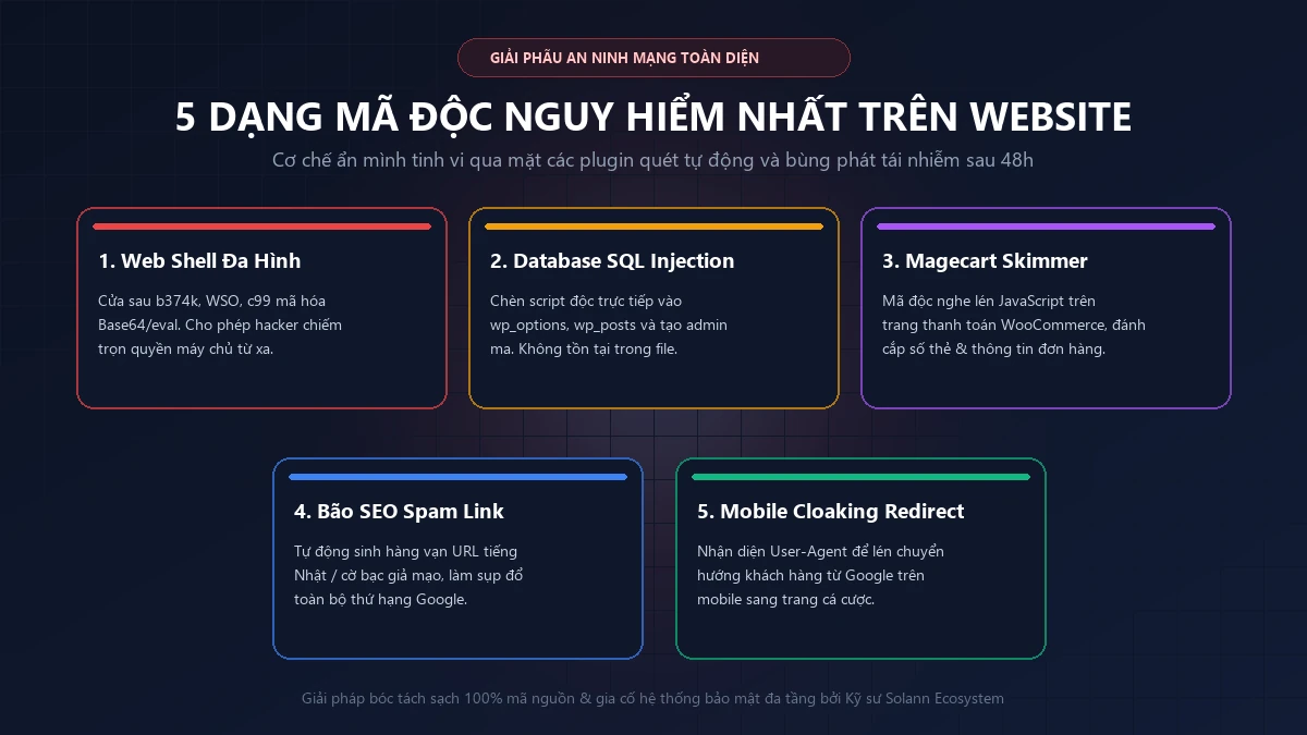 Cấu trúc giải phẫu 5 dạng mã độc website nguy hiểm nhất hiện nay