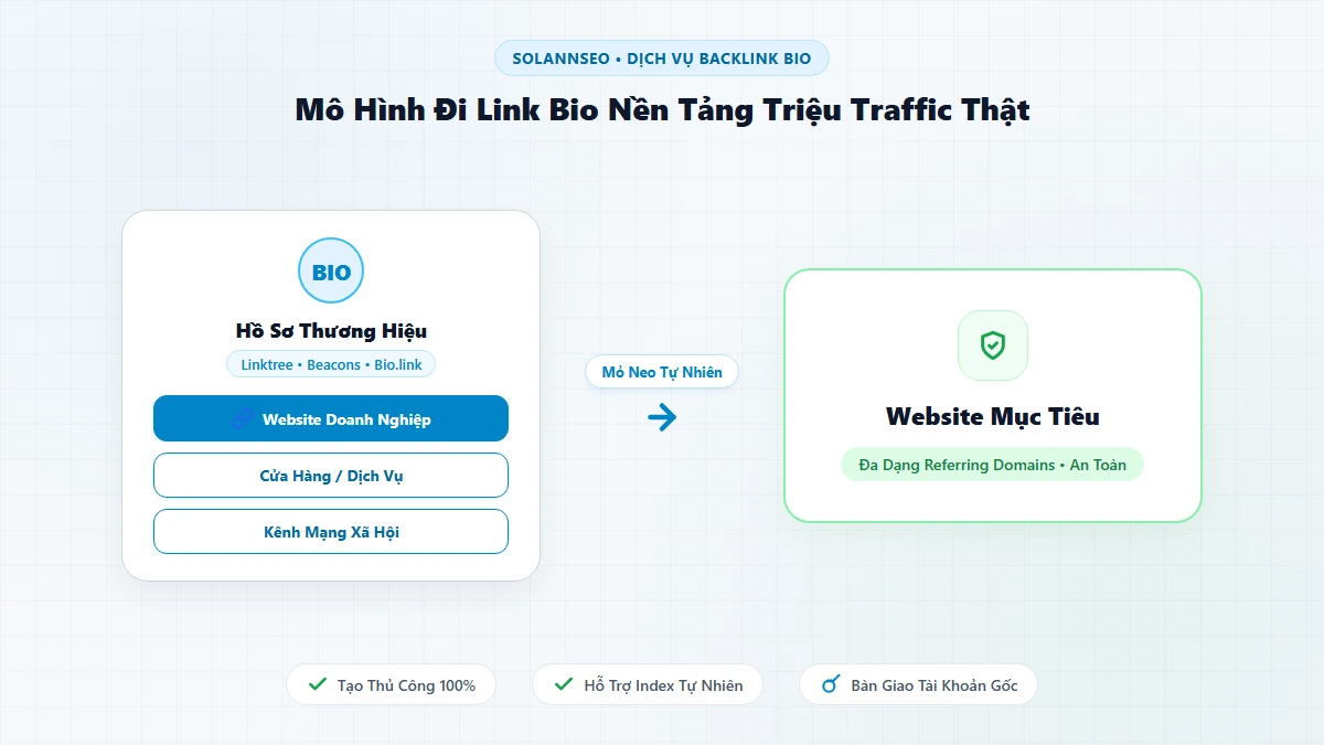 Dịch Vụ Backlink Bio Thủ Công Nền Tảng Triệu Traffic Thật Solannseo