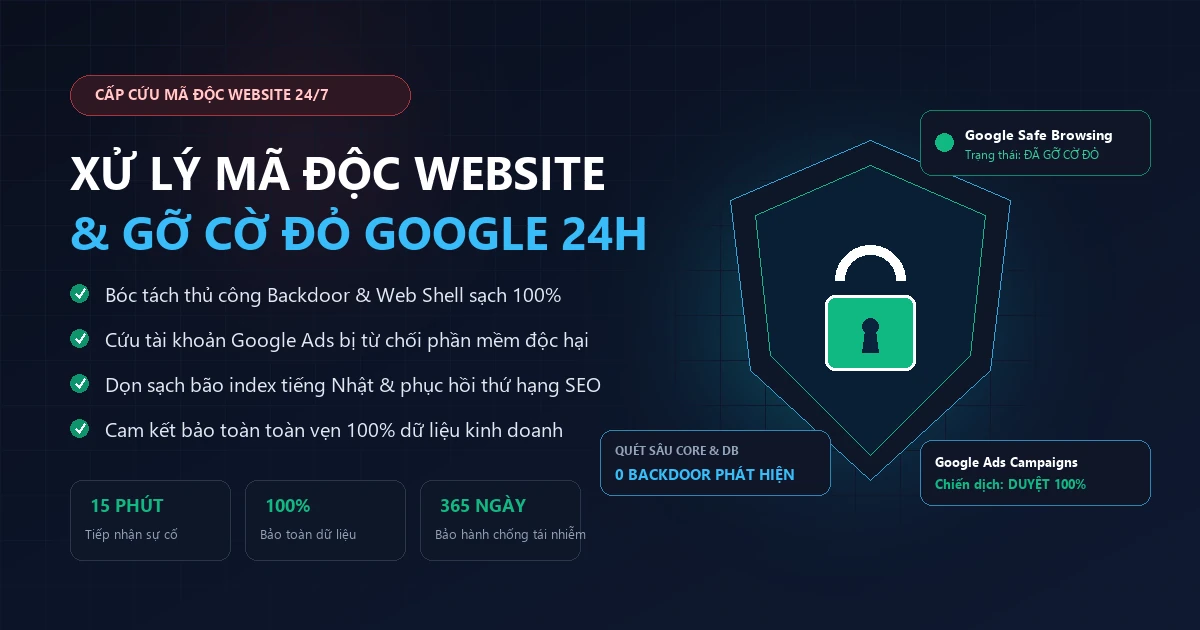 Dịch vụ xử lý mã độc website và gỡ cảnh báo Google uy tín tại Solann Ecosystem